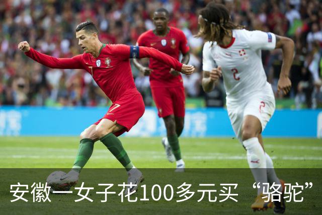 安徽一女子花100多元买“骆驼”冲锋衣，收到货一看，logo竟是一头咧着嘴笑的驴！有人质疑这是擦边，商家：商标已注册，不要只看图片外观