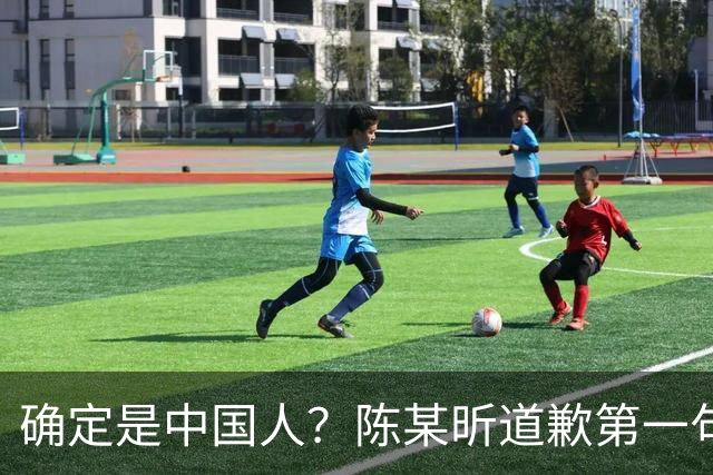 确定是中国人？陈某昕道歉第一句话就“露馅”了，央视公布新进展