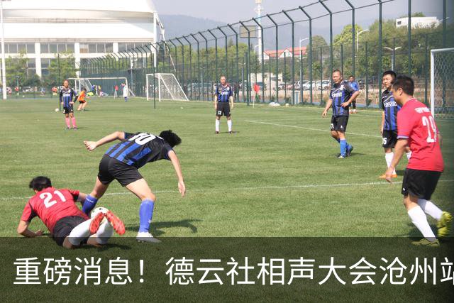 重磅消息！德云社相声大会沧州站演出直接取消，烧饼竟然登顶热搜了？
