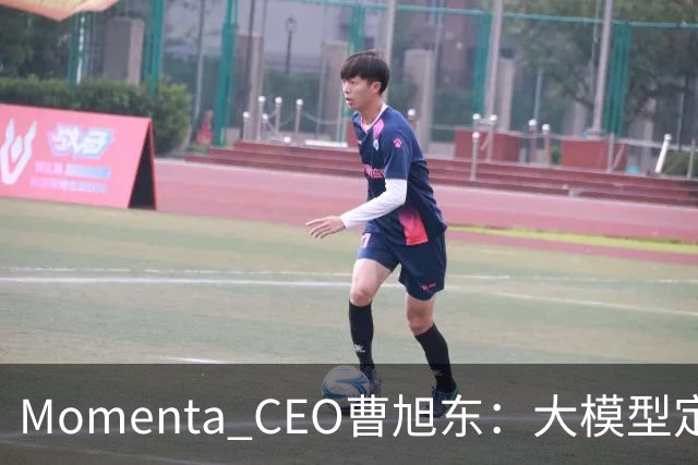 Momenta CEO曹旭东：大模型定义芯片 才有可能实现规模化L4